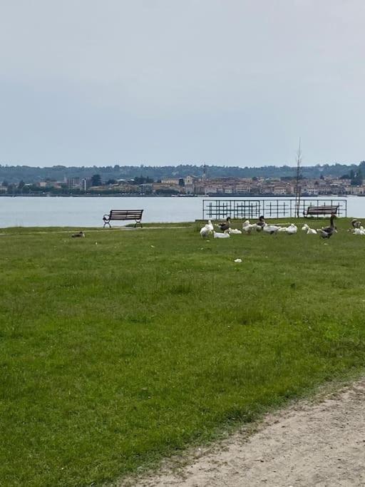 La Casa Nel Borgo Appartement Angera Buitenkant foto